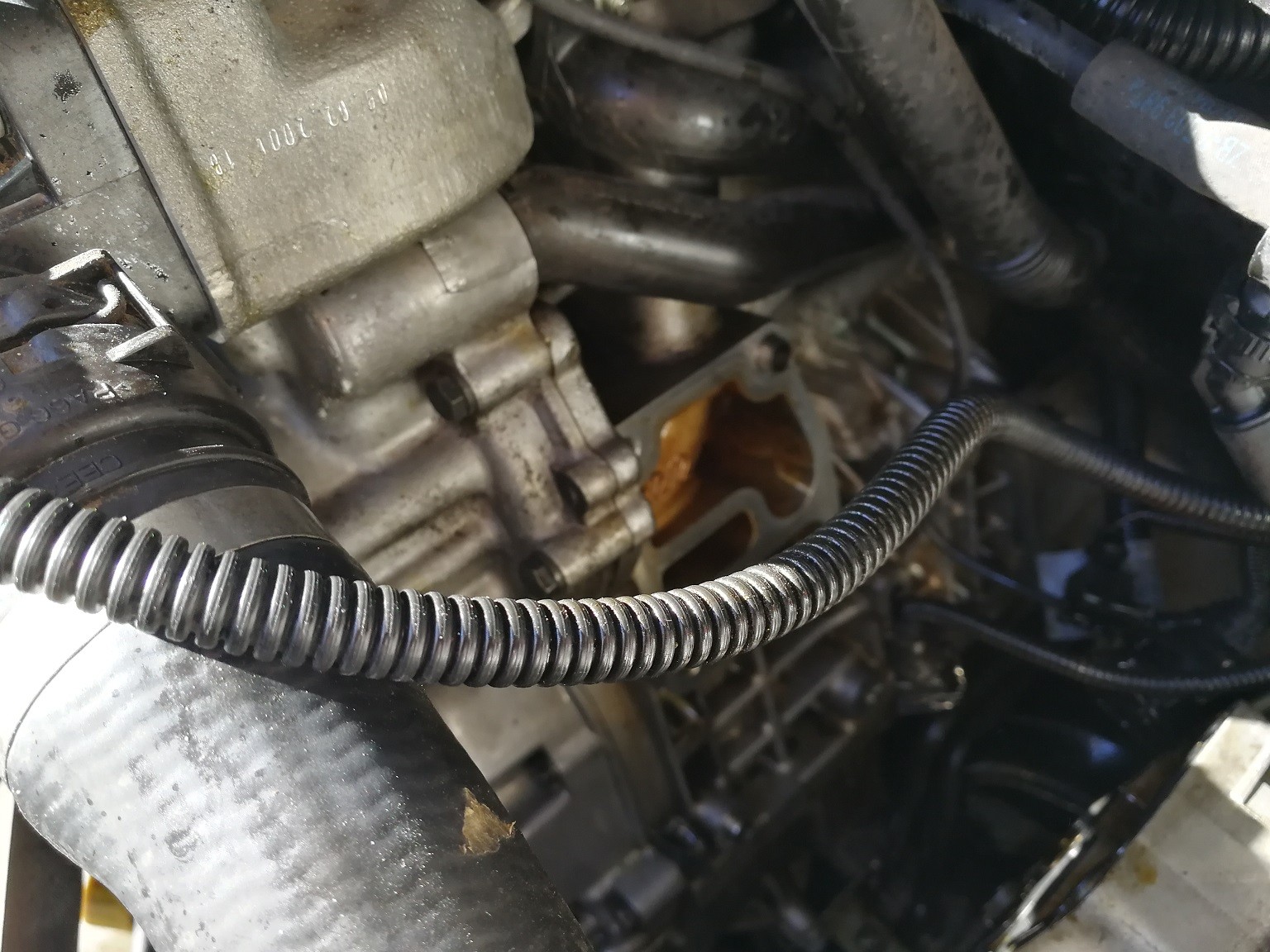 E46 Oil filter housing gasket replacement BMWFanatics