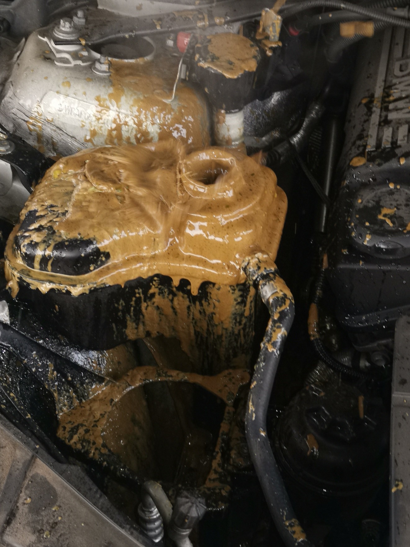 320i e90 oil in coolant BMWFanatics