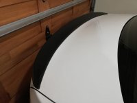 wing.jpg