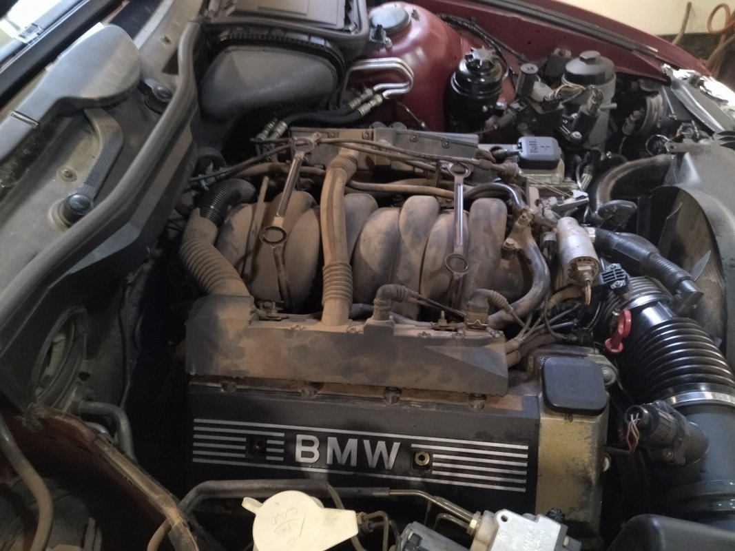 IMG_20220616_100551.jpg IMG_20220616_100551.jpg