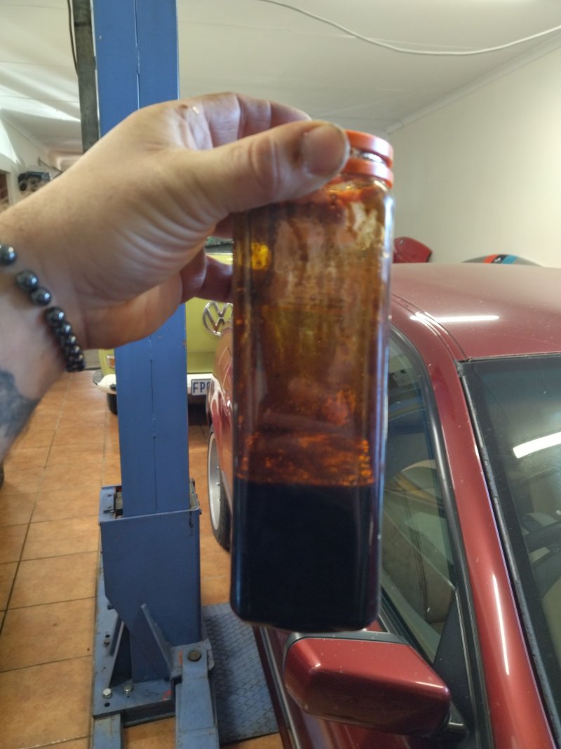 IMG_20220616_103724.jpg IMG_20220616_103724.jpg