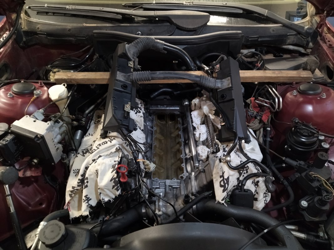 IMG_20220619_171734.jpg IMG_20220619_171734.jpg