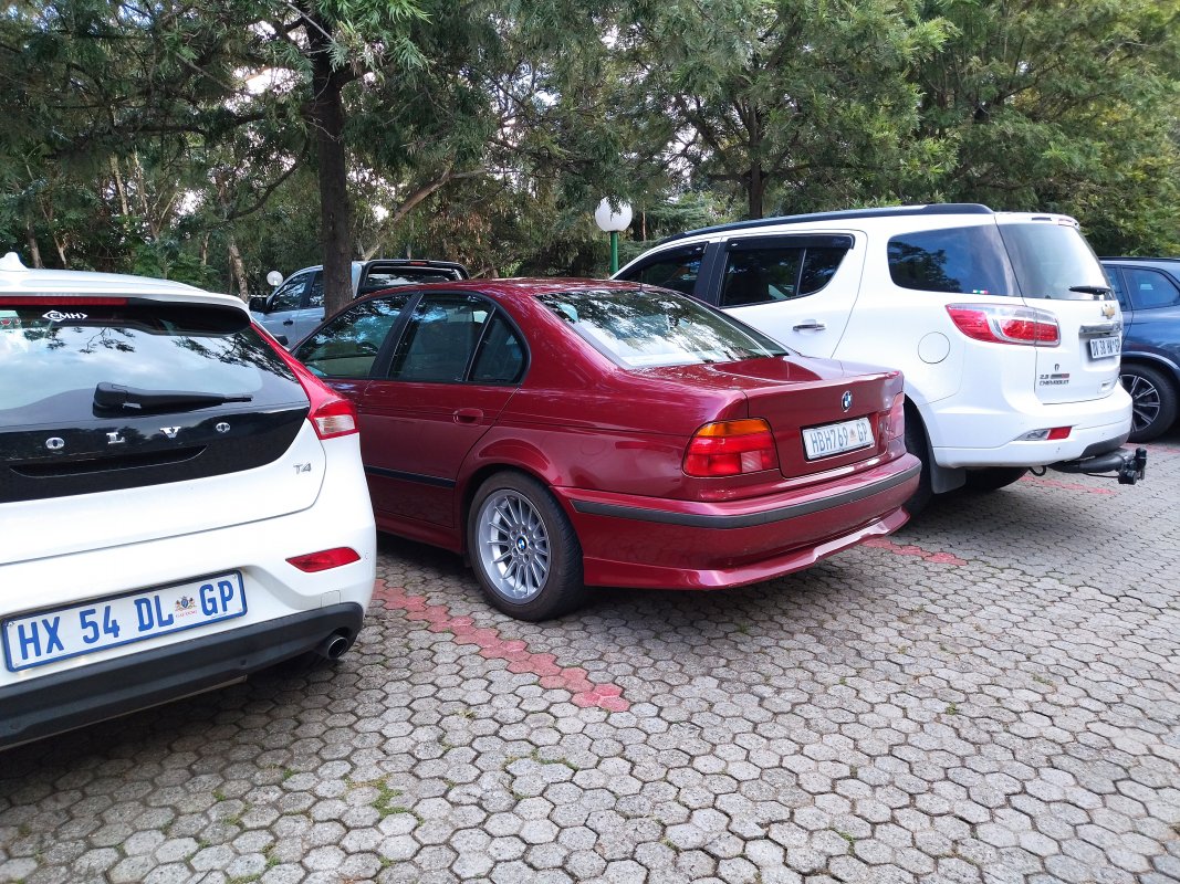 IMG_20220302_172646.jpg IMG_20220302_172646.jpg