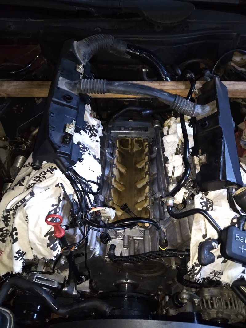 IMG_20220623_165225.jpg IMG_20220623_165225.jpg