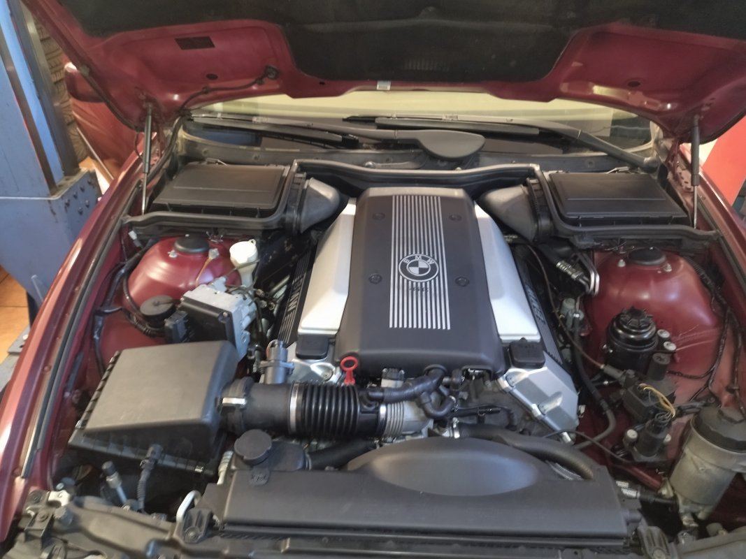 IMG_20220702_143550.jpg IMG_20220702_143550.jpg