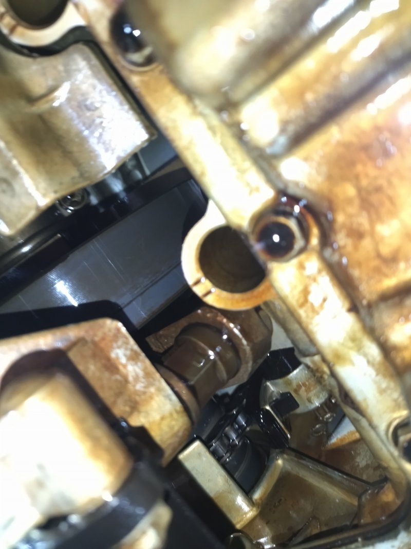 IMG_20220709_211350.jpg IMG_20220709_211350.jpg