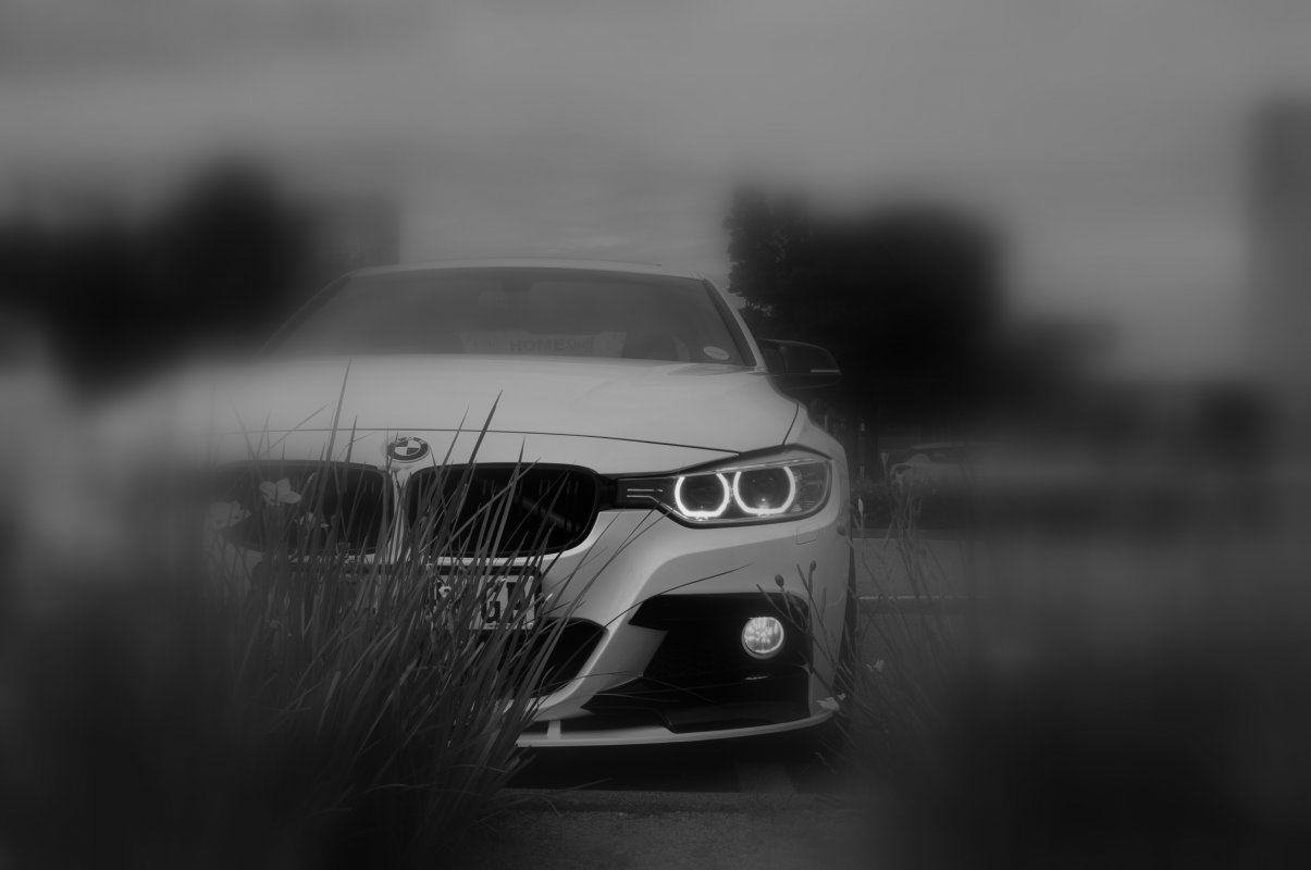 DSC_2336.JPG