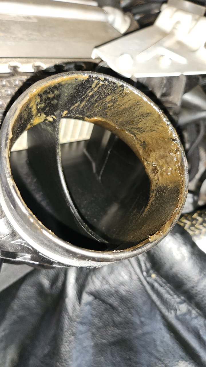 WhatsApp Image 2023-04-03 at 14.34.13.jpeg