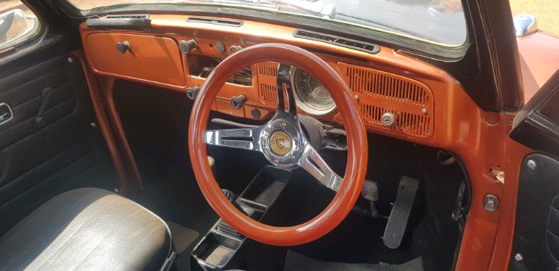 beetle 1.jpeg