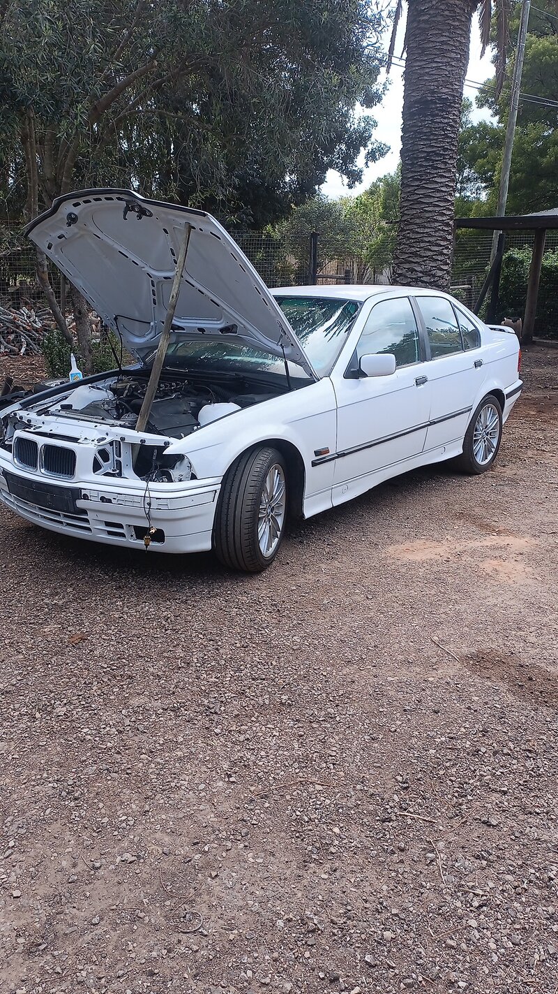 IMG-20230923-WA0018.jpeg