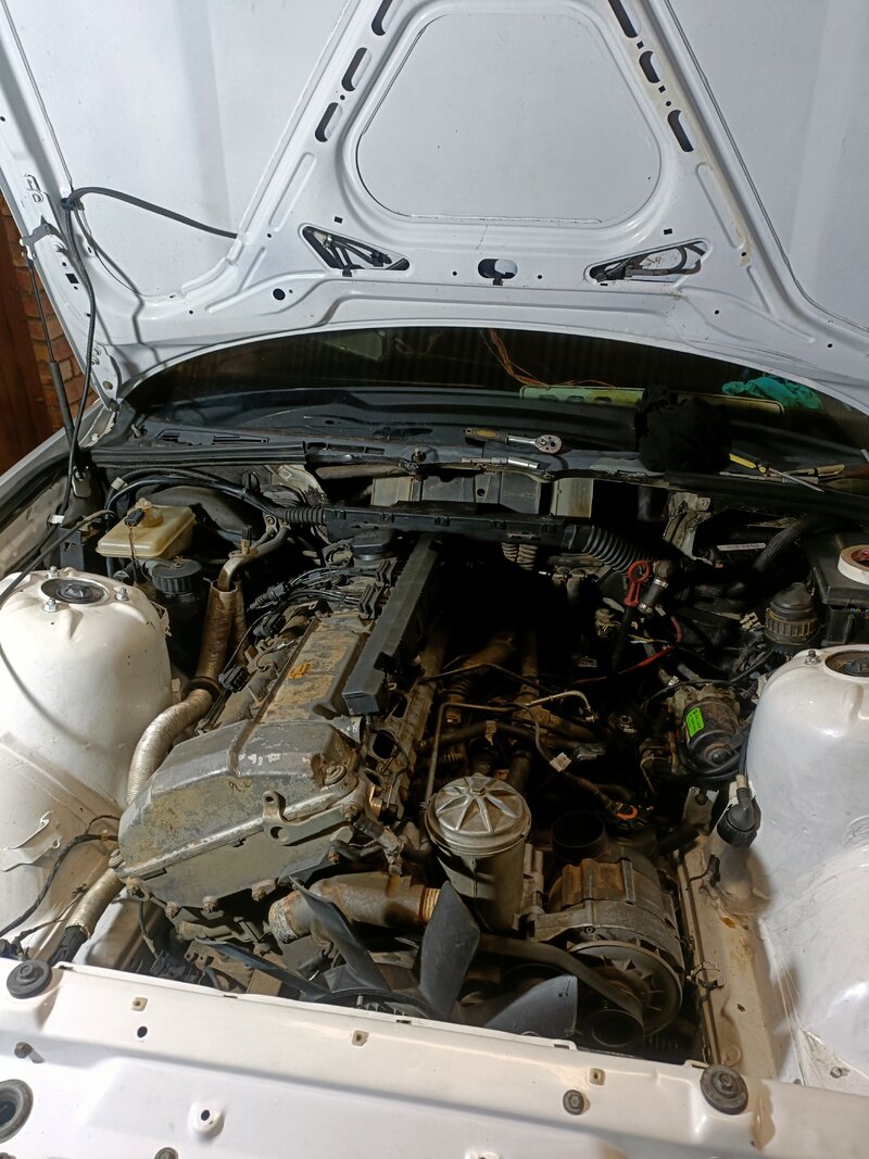 IMG20230923171928.jpg