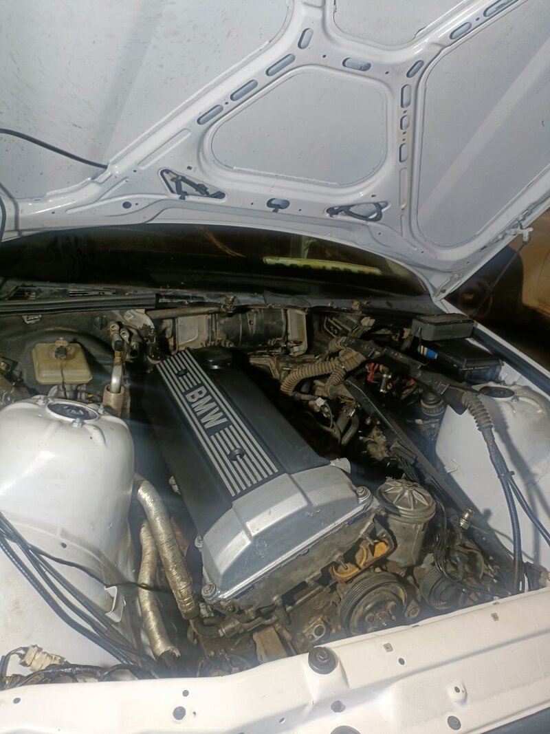 IMG20231031212140.jpg