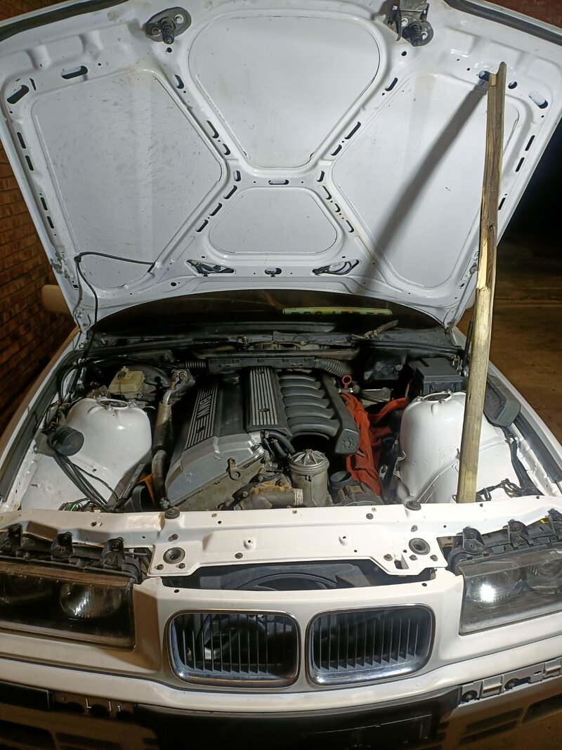 IMG20231102224931.jpg