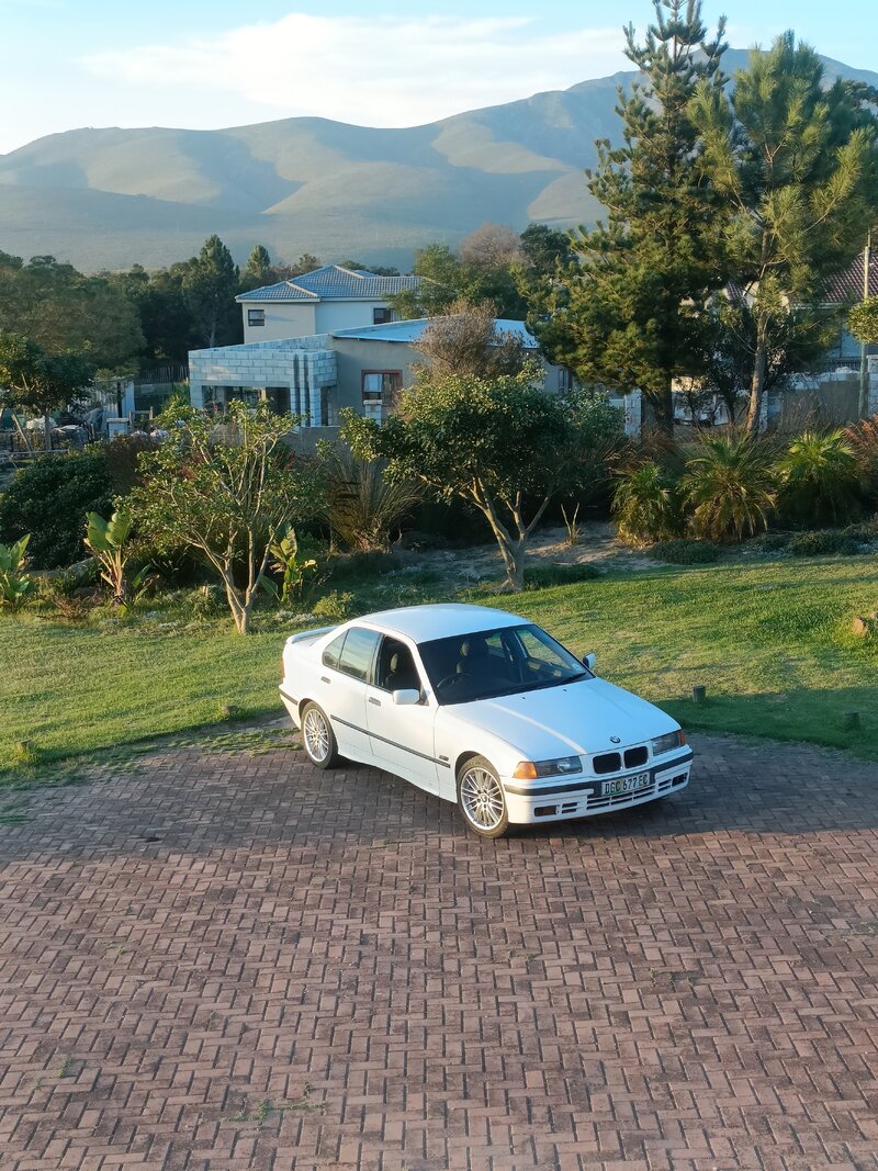 IMG20240321180936.jpg