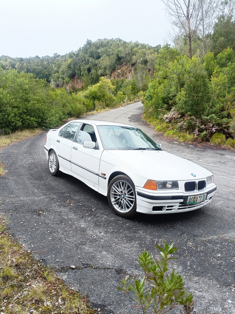 IMG20240406124436.jpg