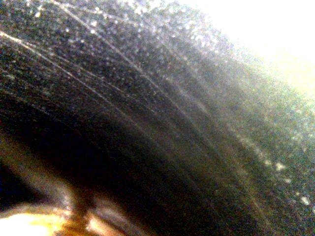 WhatsApp Image 2025-05-15 at 18.53.21_42f2fce3.jpg