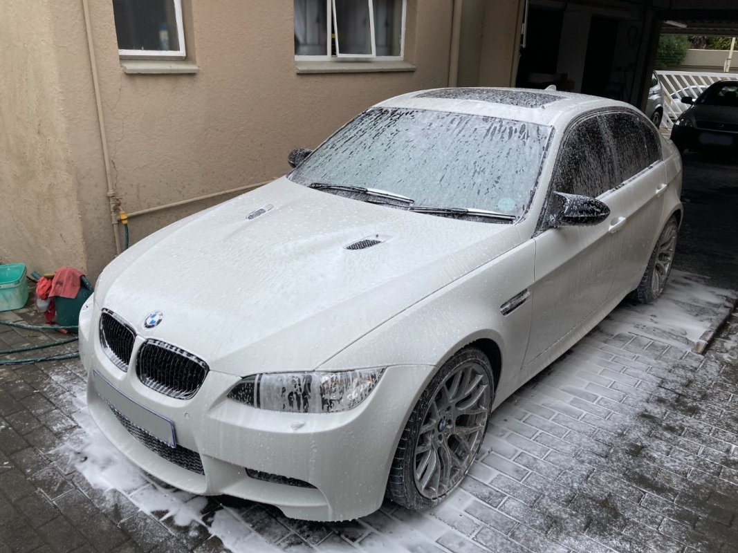 IMG_2599 (Large).jpg