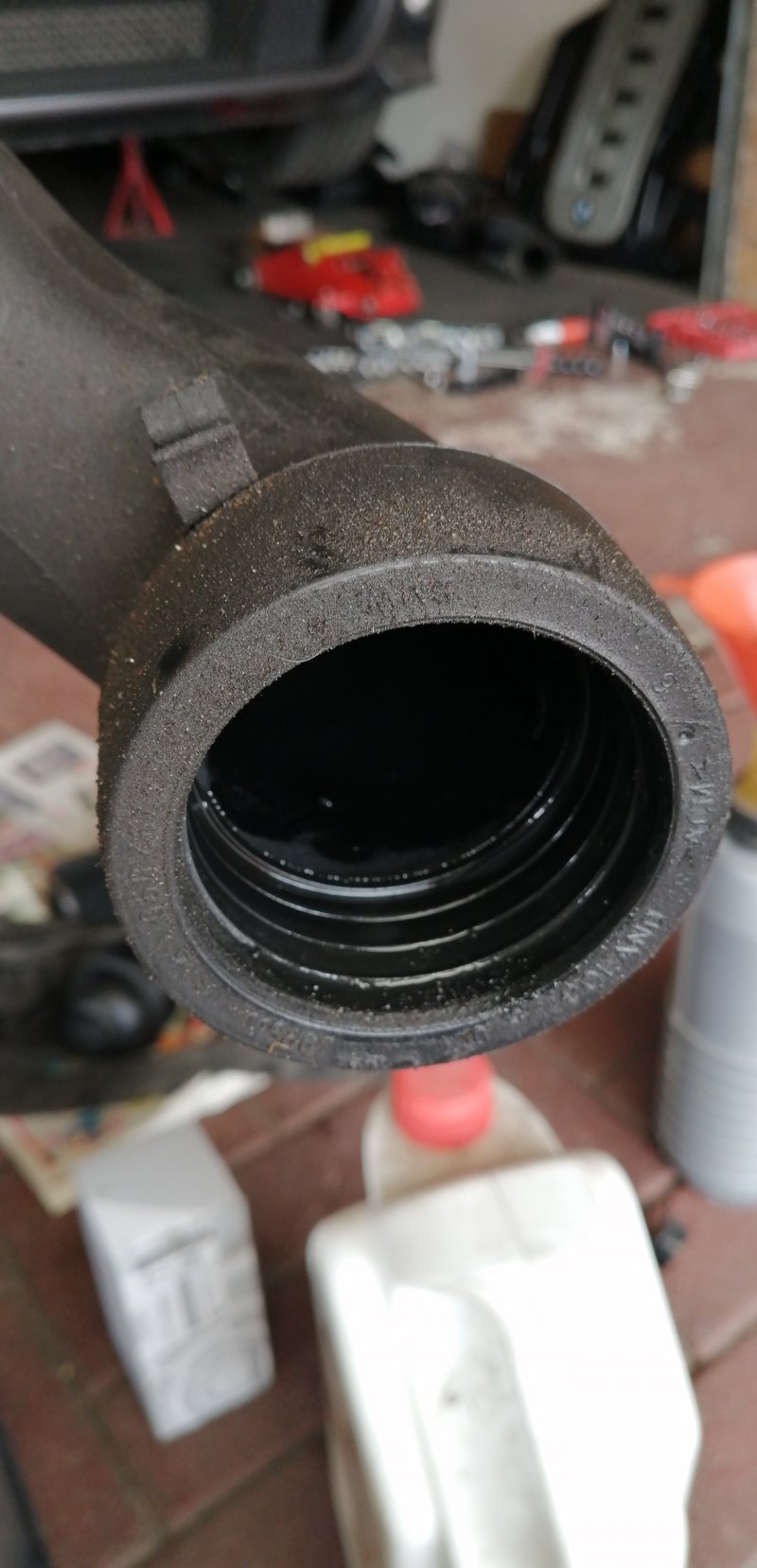 IMG_20201121_110925[1].jpg