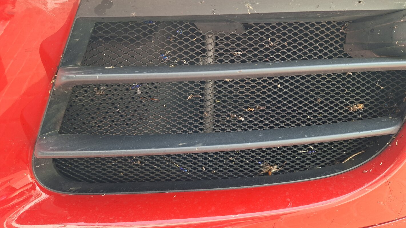 20251130_145603.jpg 20251130_145603.jpg