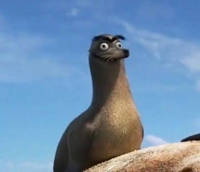 images (9).jpeg images (9).jpeg