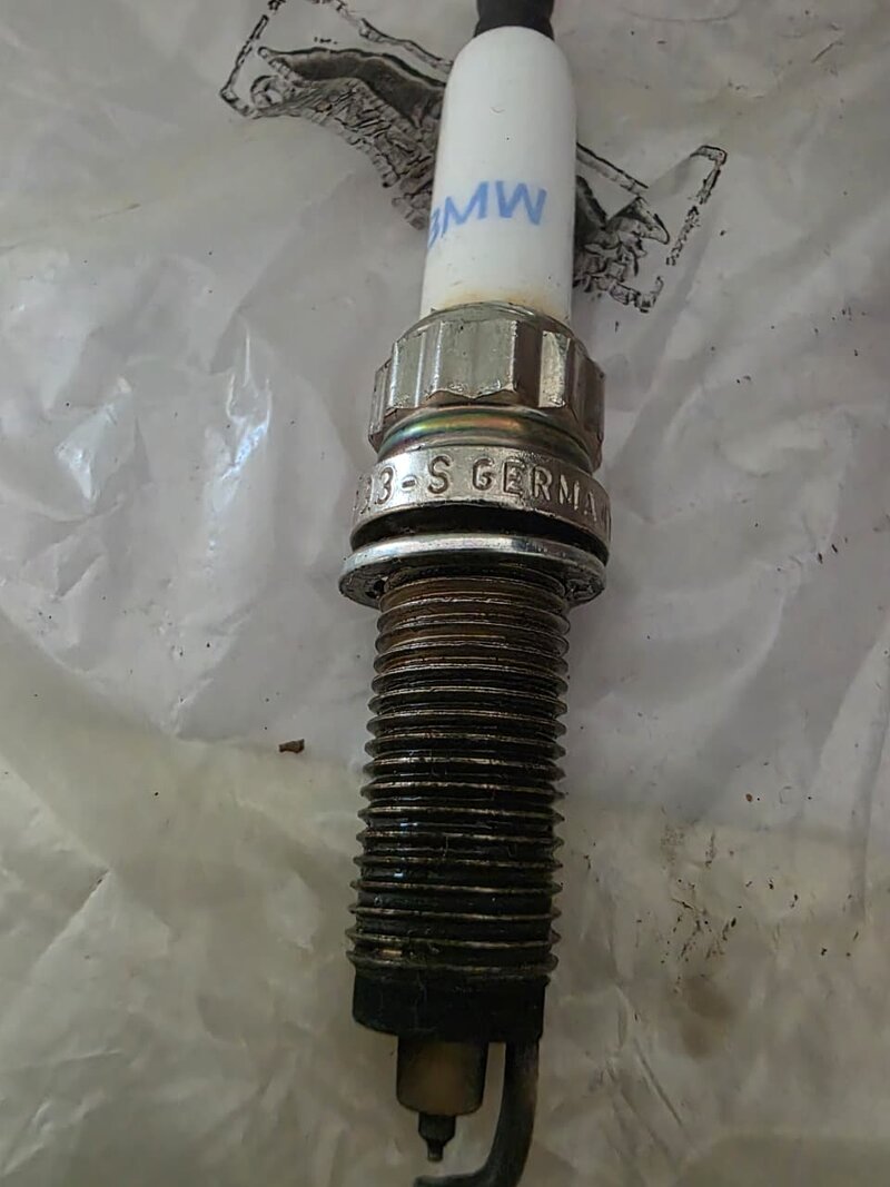 WhatsApp Image 2026-03-22 at 14.15.10.jpeg WhatsApp Image 2026-03-22 at 14.15.10.jpeg