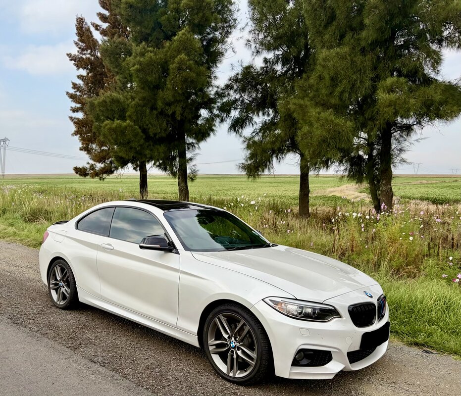 IMG_2937.jpeg IMG_2937.jpeg