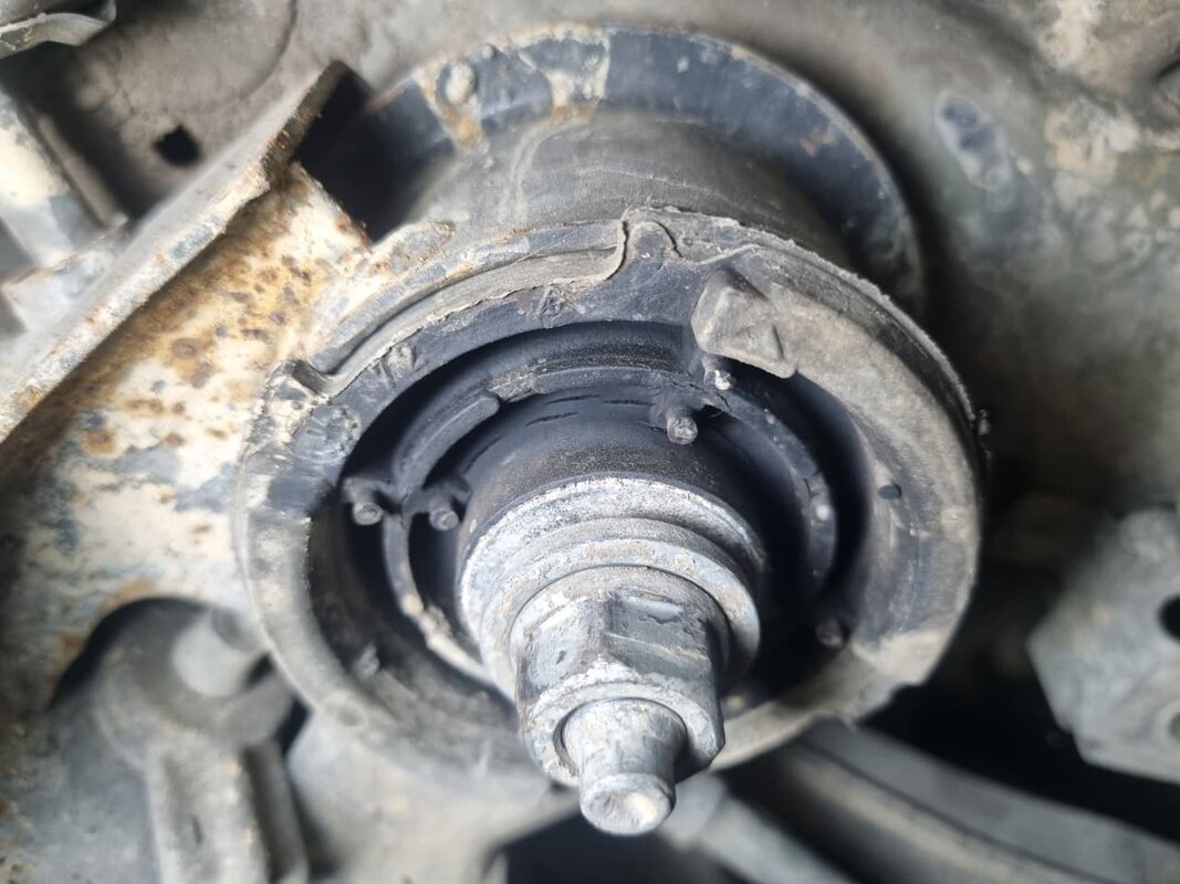 WhatsApp Image 2026-04-13 at 21.18.35.jpeg