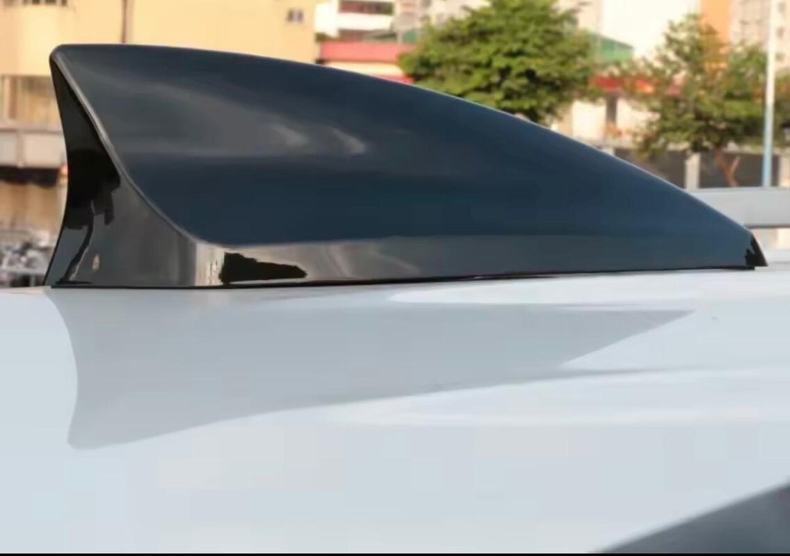 Gloss Sharkfin.jpeg