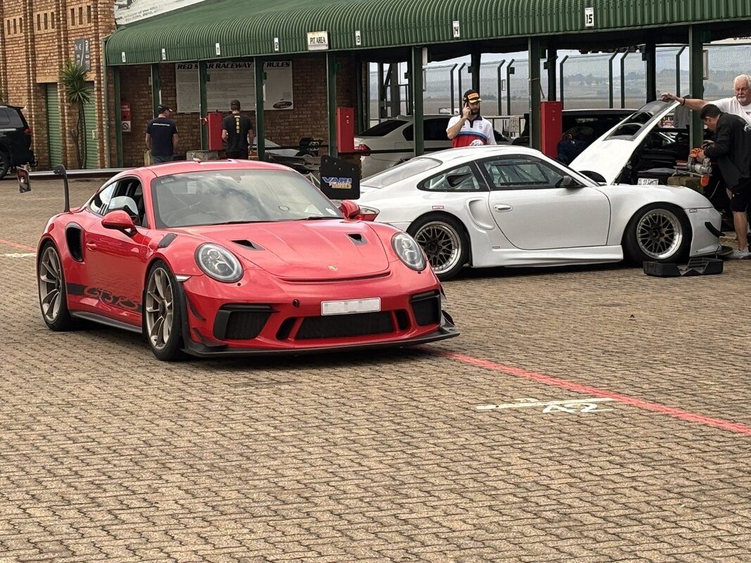 IMG_6474 (Large).JPEG