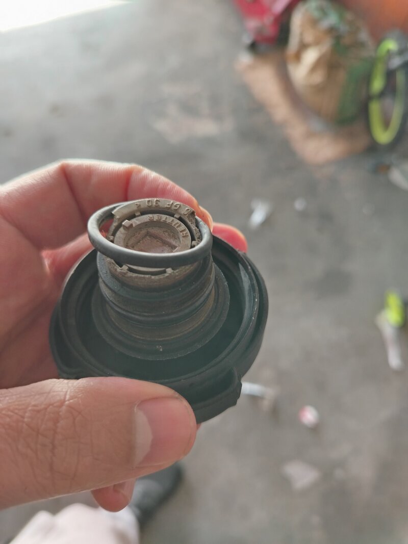 1000220537.jpg