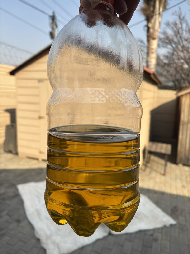 IMG_7337.JPEG
