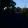 milu