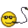 VeNoM_Ct