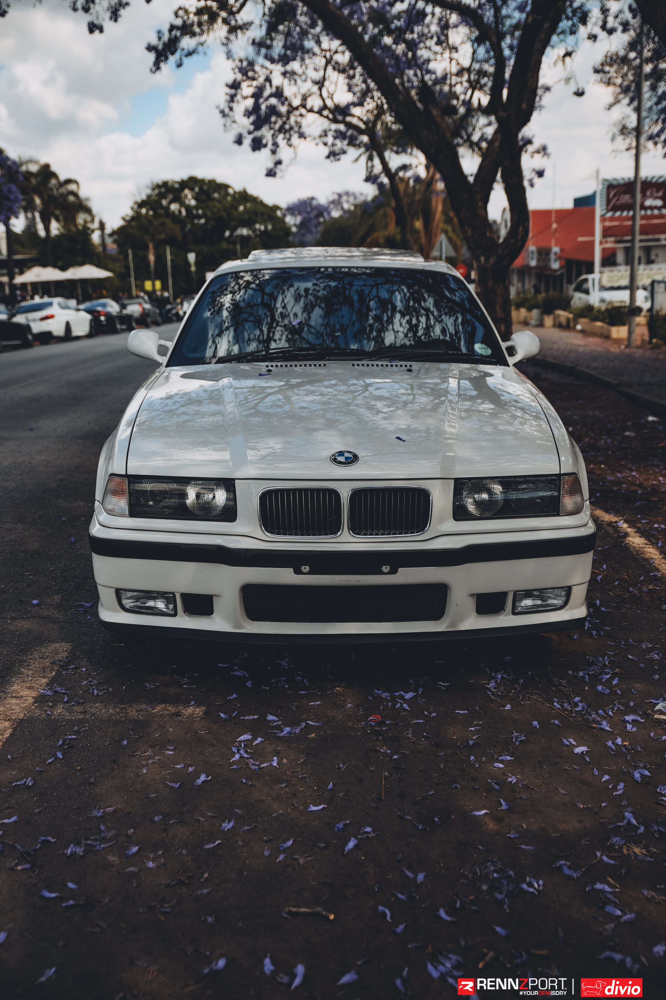 732A3887.jpg