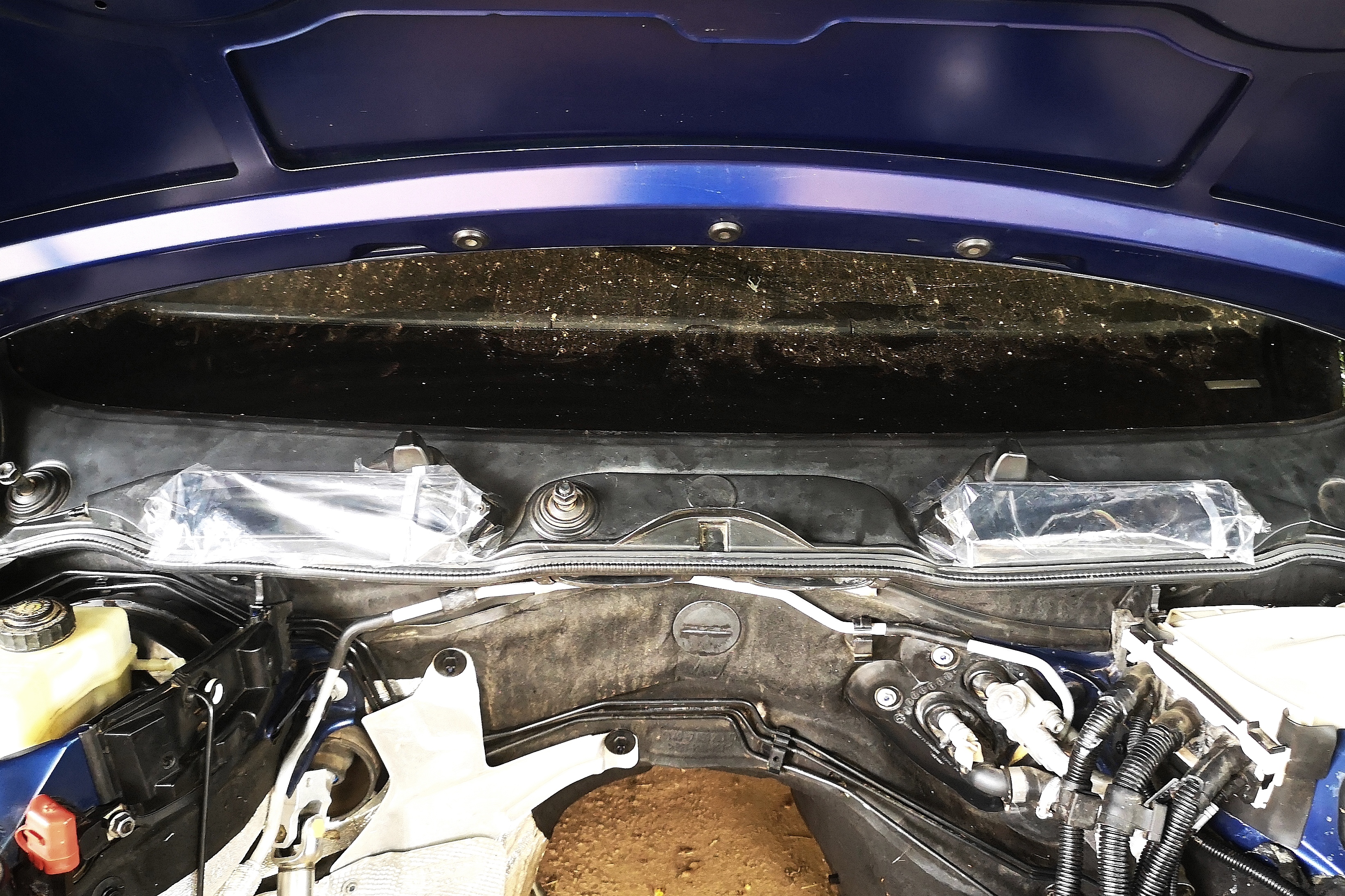 Cowling in Place.jpg