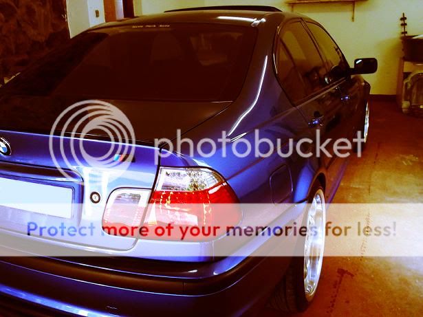 BMWBACK.jpg