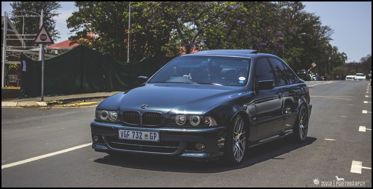 ash_3354221140.jpg