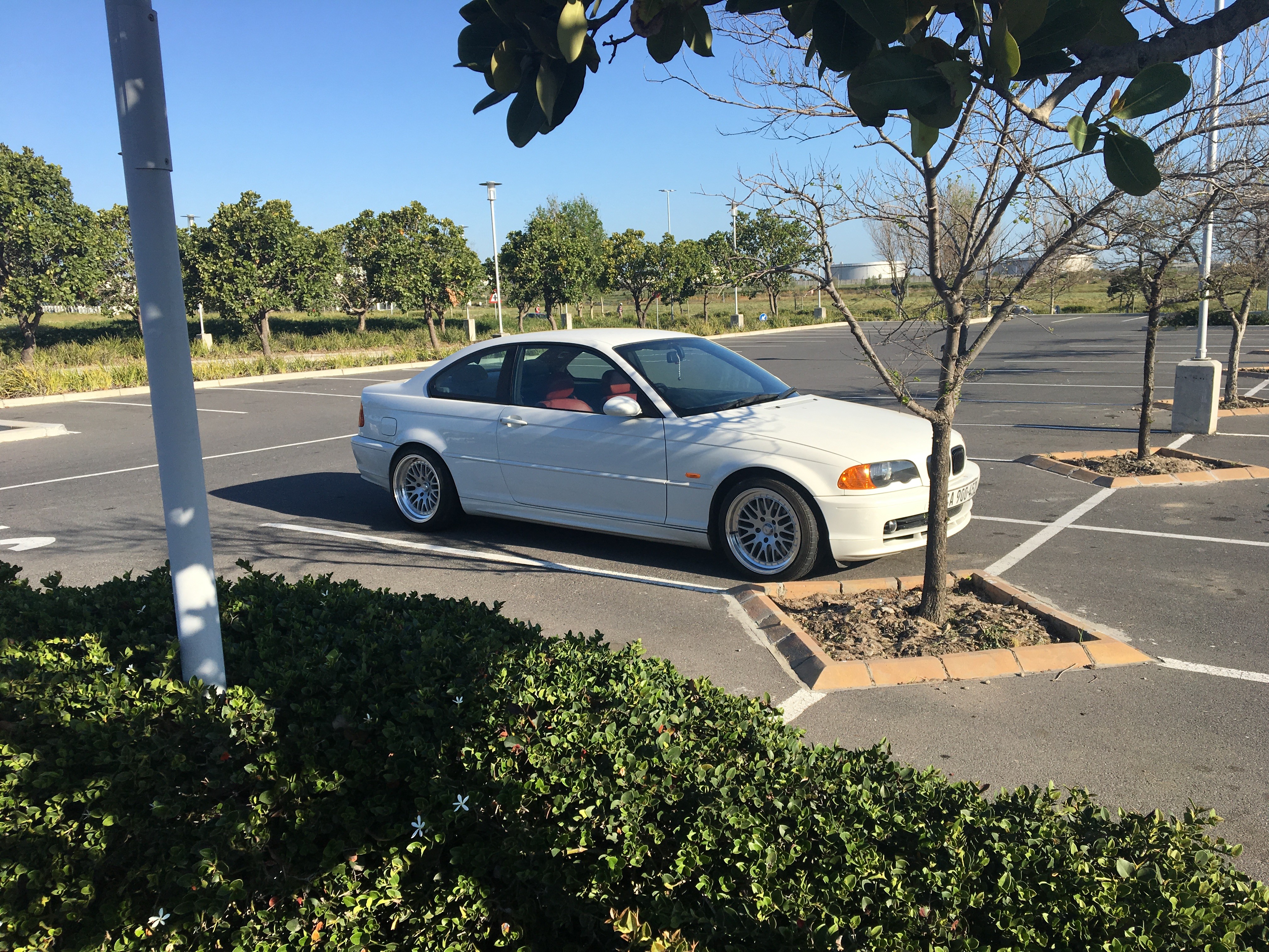 img_4482_6483727530.jpg