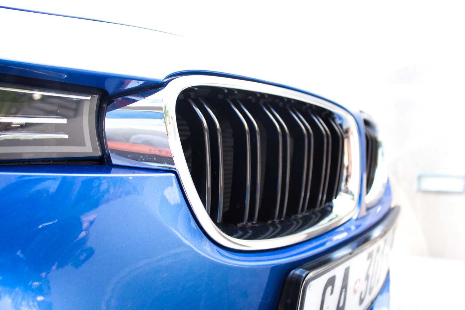 bmw m3 grills (large)_9091204372.jpg