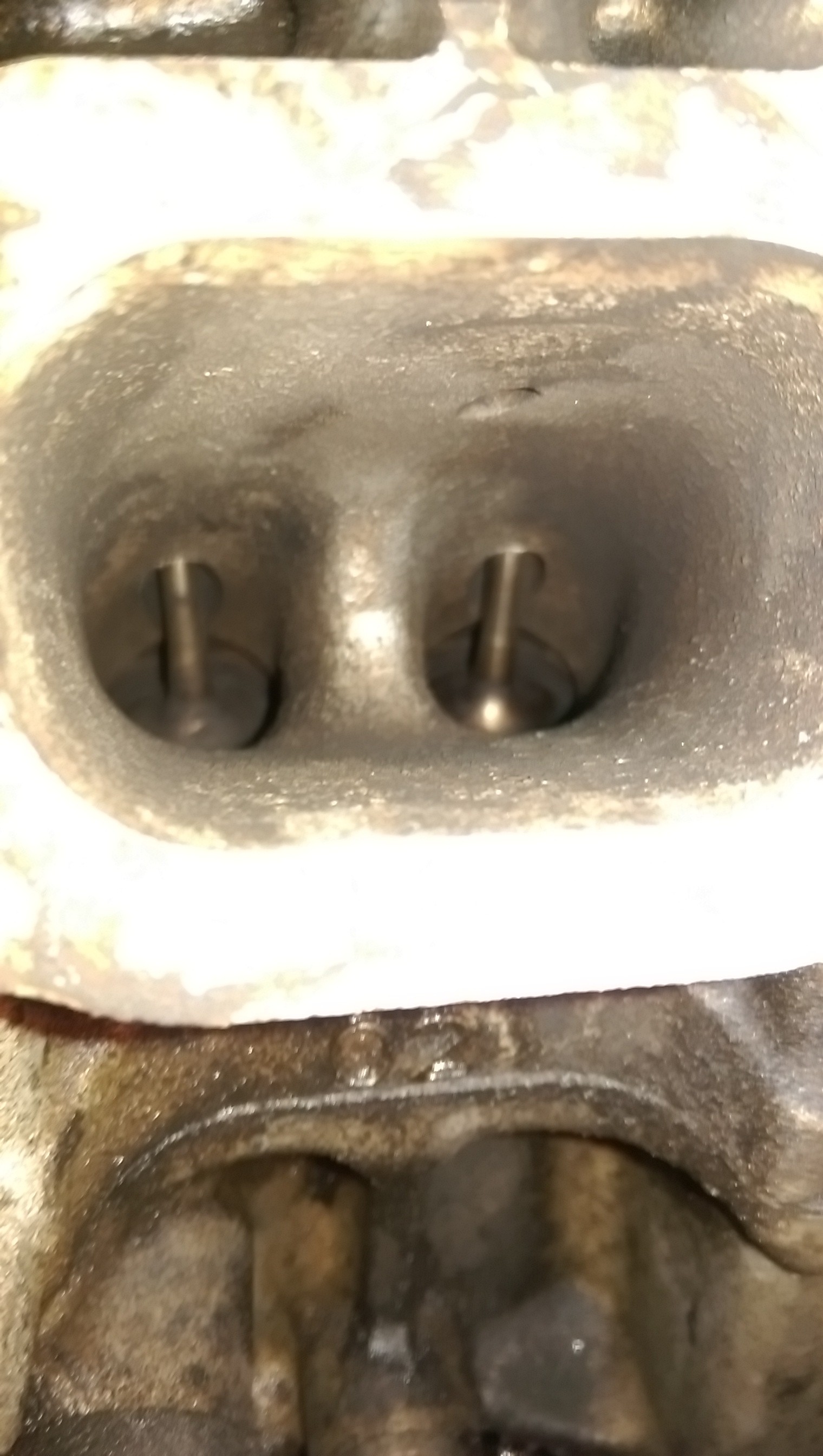 imag2591_2287399065.jpg