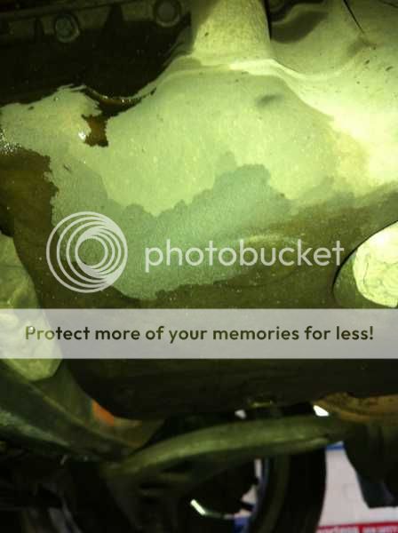 IMG_6716_448x600_zps66f38950.jpg