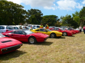 img_1218043913_14976_1233316156_mod_347_257.jpg