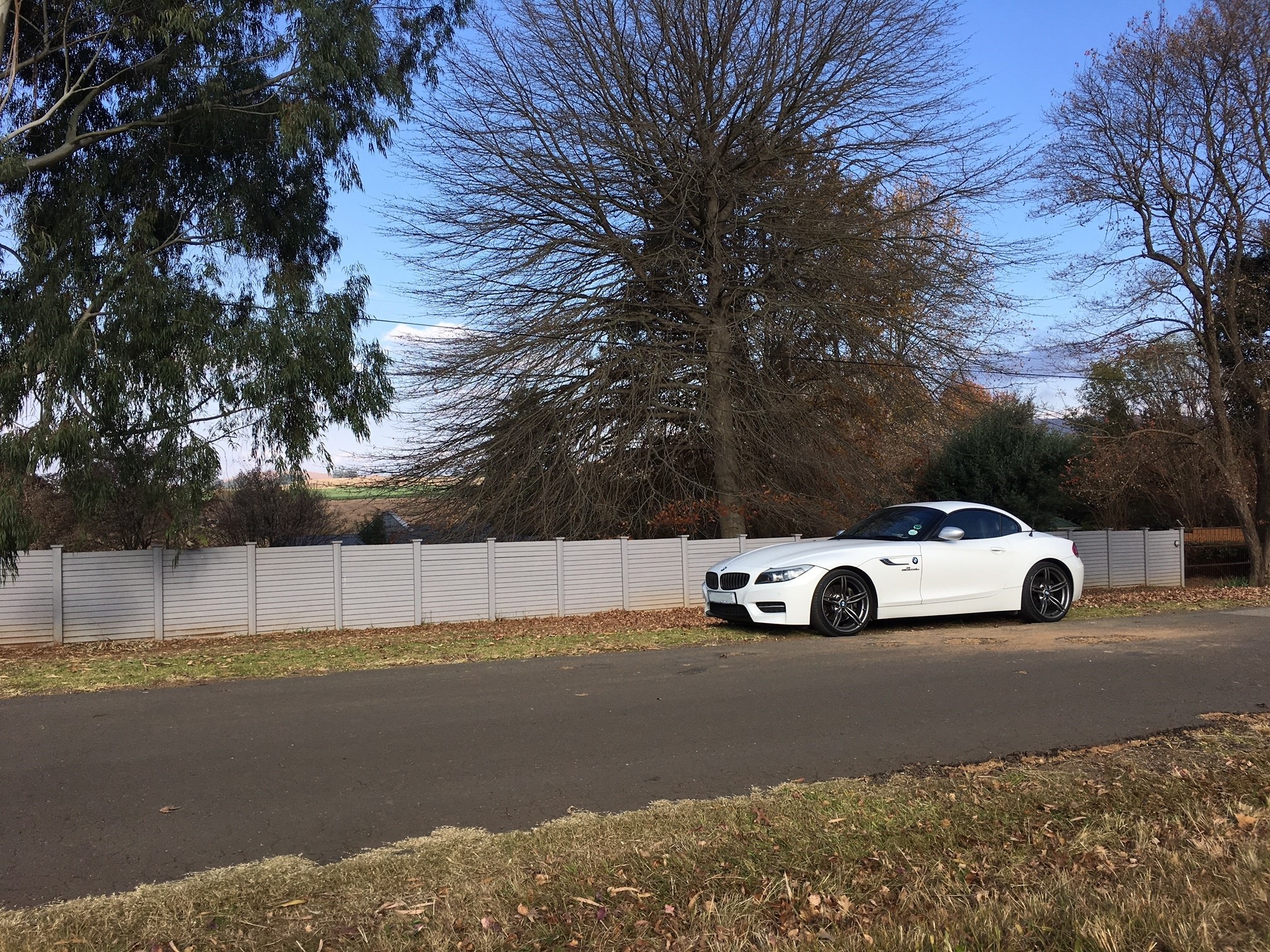 z4up_5588725232.jpg