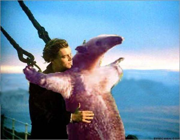titanic-anteater.jpg