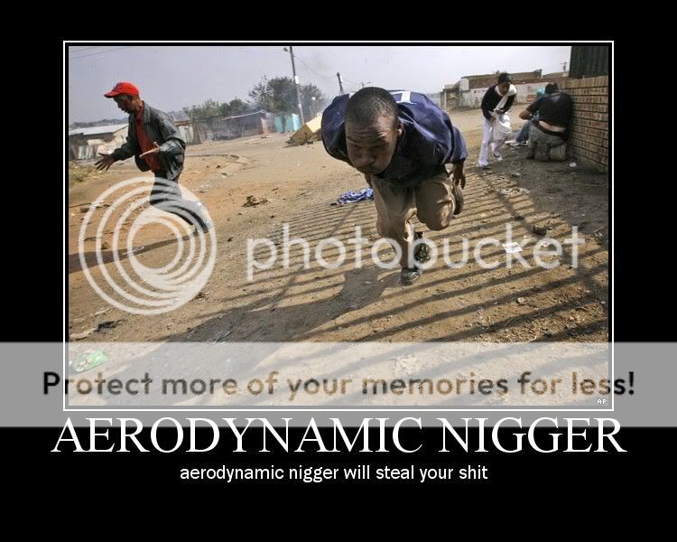 Aero-nigger.jpg