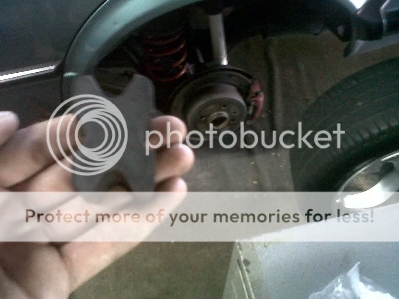 IMG00311-20120326-1134.jpg