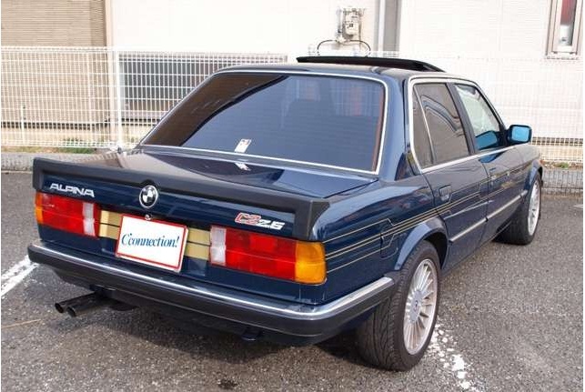 alpina-c2-back.jpg