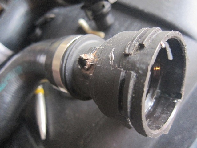 new hose (1)_5732947471.jpg