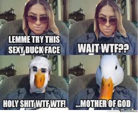 duck_8695944291.jpg