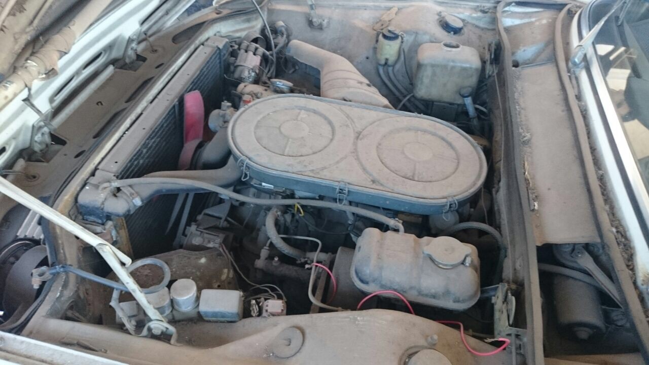 image_1162030417.jpg
